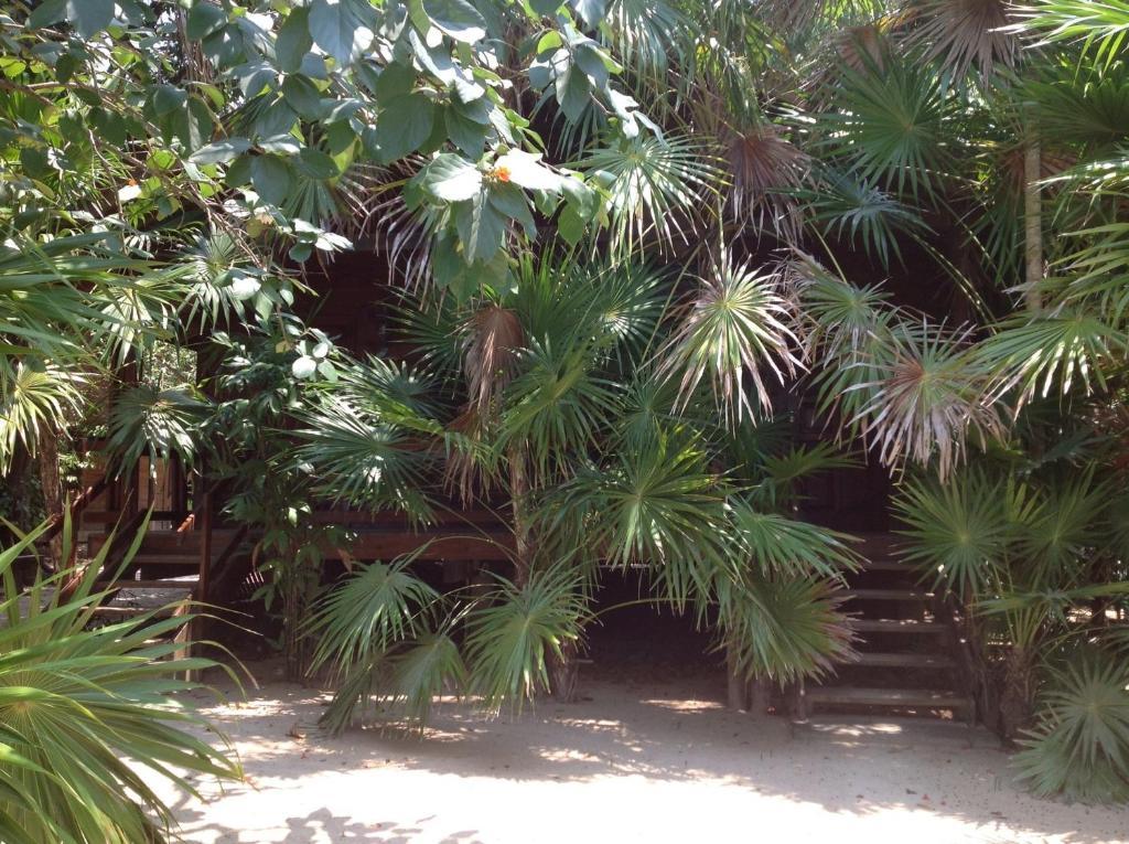 Half Moon Resort (Adults Only) West End Ngoại thất bức ảnh